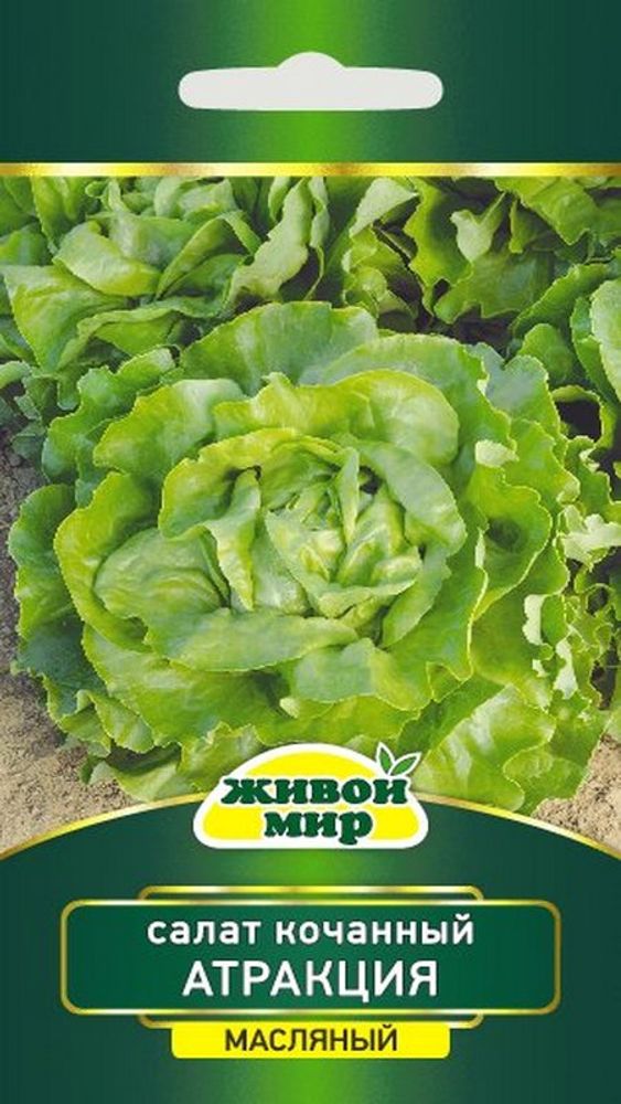 Салат кочанный "ЖМ. Aтpaкция" 1г., Польша.