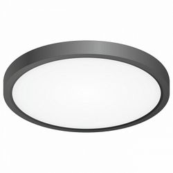 Накладной светильник Citilux Бейсик CL738181V