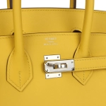 Оригинальная женская сумка из коллекции B с палладиевой фурнитурой Hermès Birkin