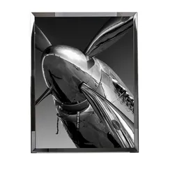 Картина FL-H215B