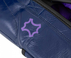 Перчатки боксерские Clinch Undefeated темно-синие C161