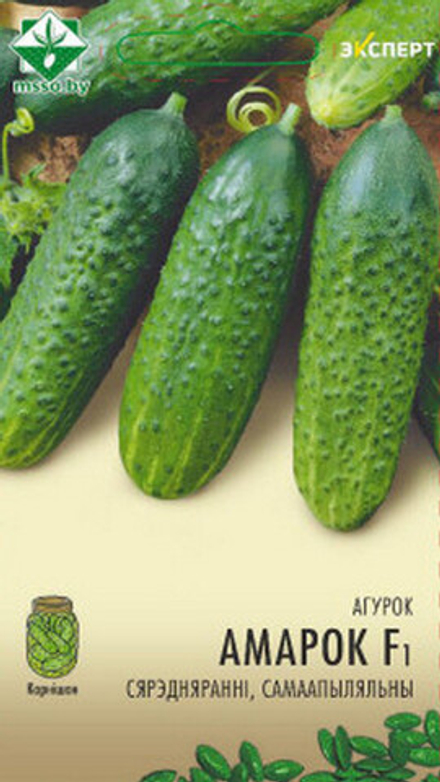 Огурец "Амарок F1 " 10шт, Нидерланды.