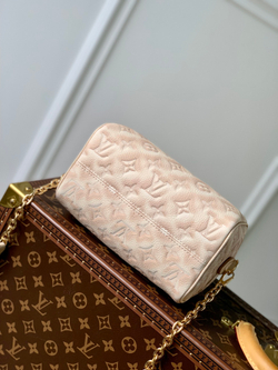 Louis Vuitton Speedy 20