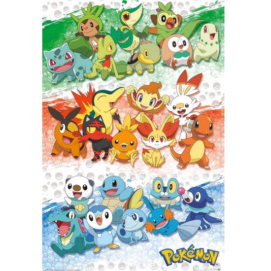 Постер FP4971 POKEMON First Partners