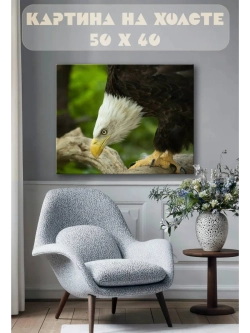 Картина на стену 40 X 50 Орел