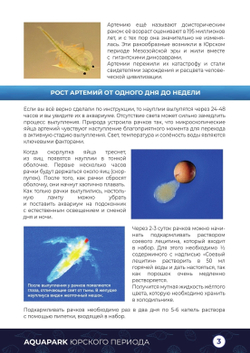 Аквапарк юрского периода, большой набор