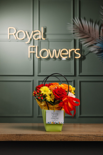 Сумочка школьная №3