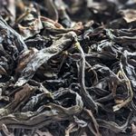 Водяная Черепаха (Шуй Цзинь Гуй)