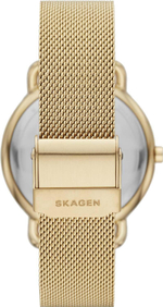 Женские наручные часы Skagen SKW2986