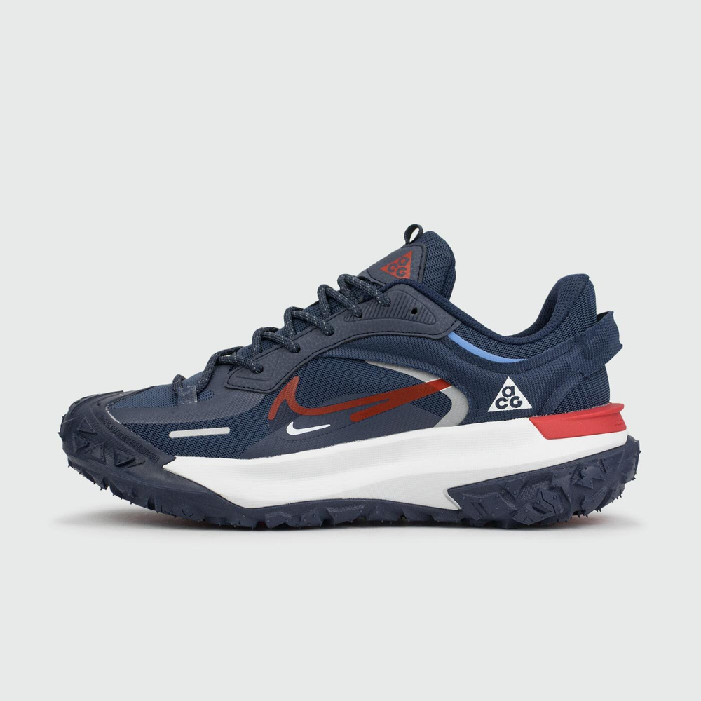 Кроссовки Nike ACG Mountain Fly 2 Low Gtx Blue White