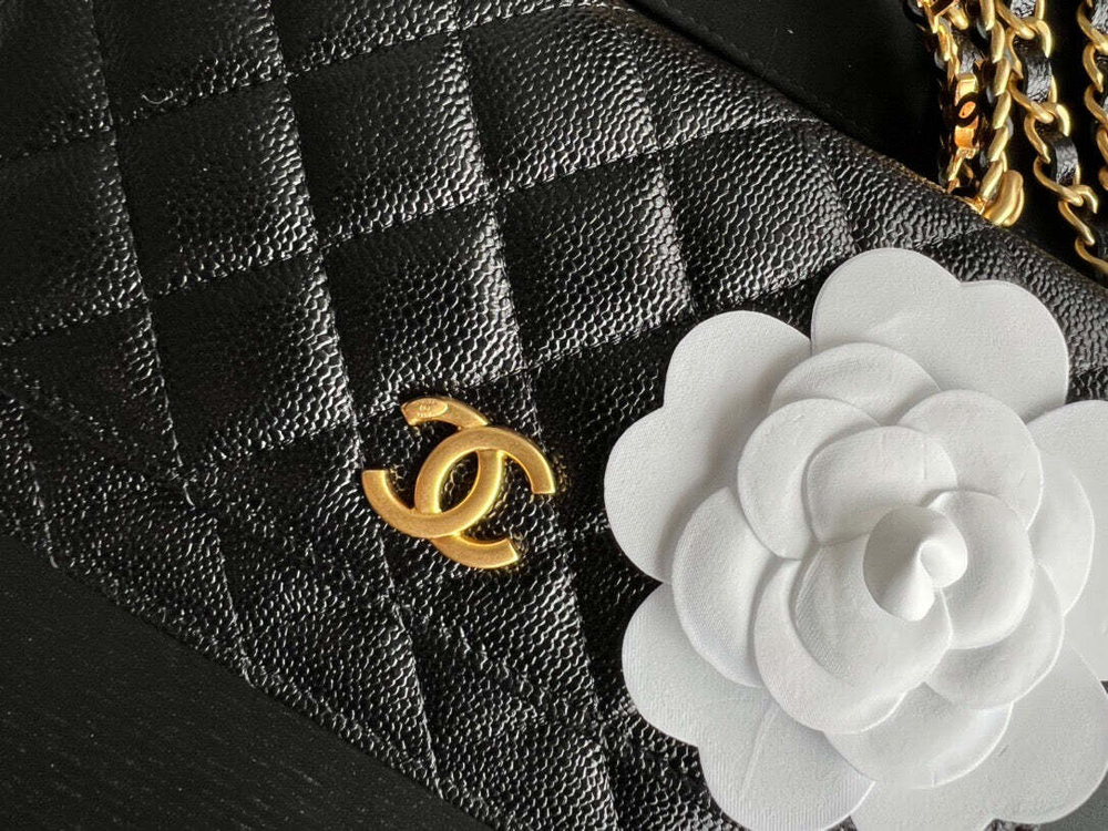 Chanel Bag 19 cm