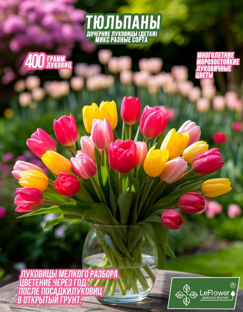 Тюльпан Луковица, дочерние, 400г
