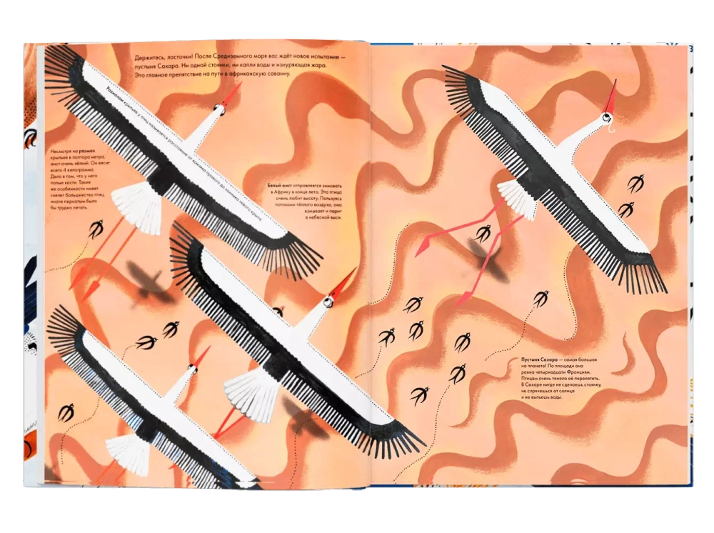 Тысяча и одна птица