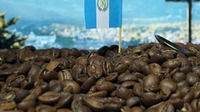 Кофе Гватемала Арабика РЧК Santa-Fe 1кг
