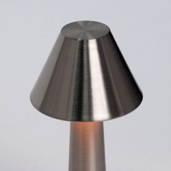 Настольная лампа декоративная Escada EVO 10256/L LED