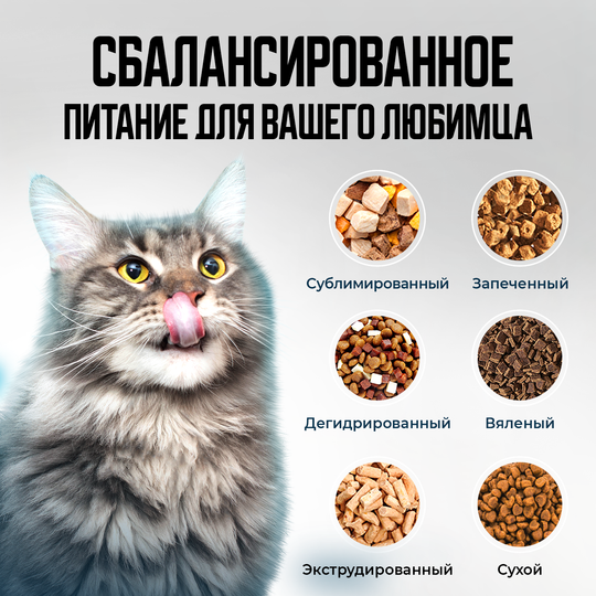 Автоматическая кормушка c видео камерой  Fresh Element YumShare Dual Hopper PETKIT