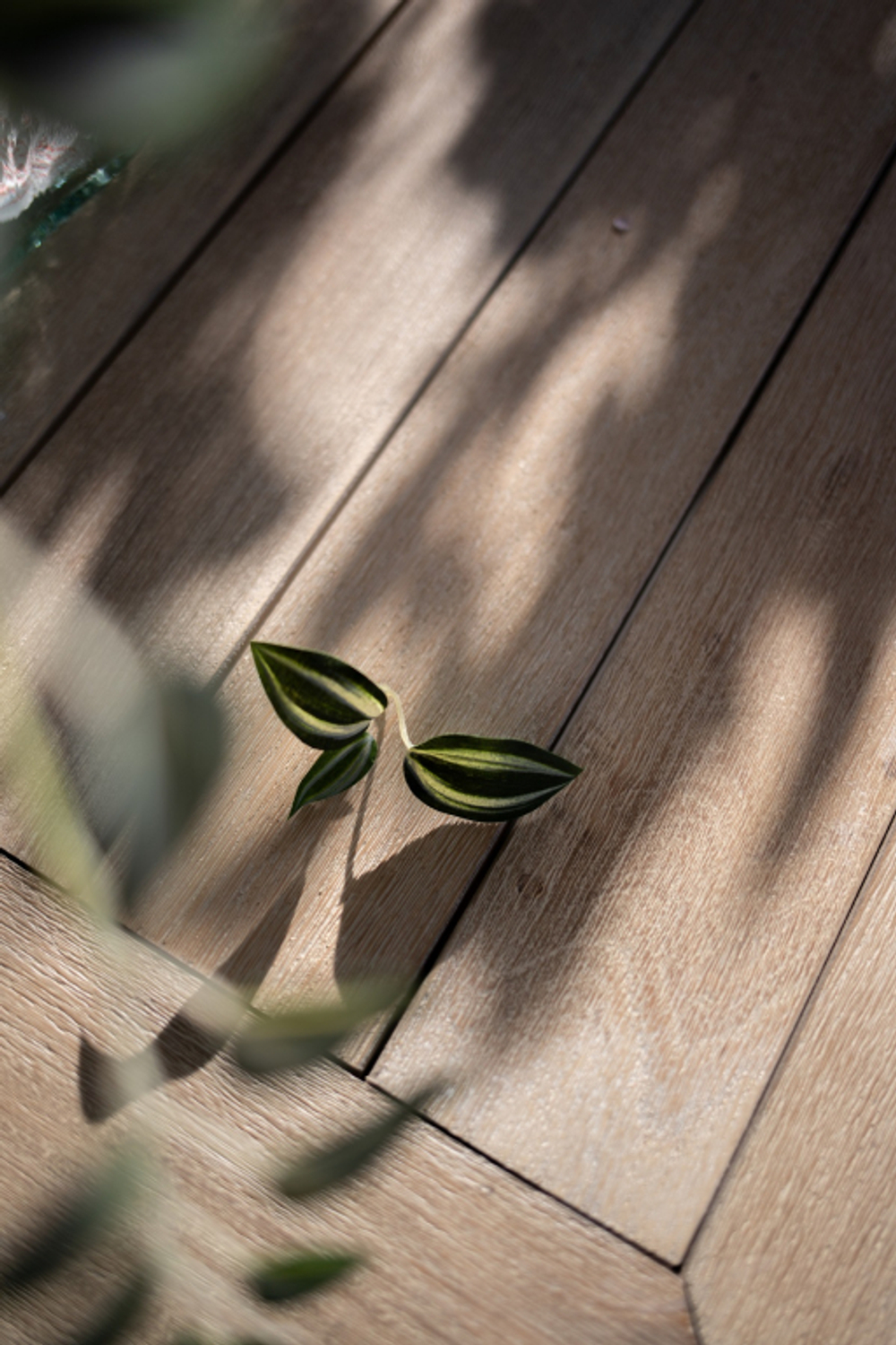 Стол деревянный обеденный Tagliamento Kia, натуральный 900х900х750