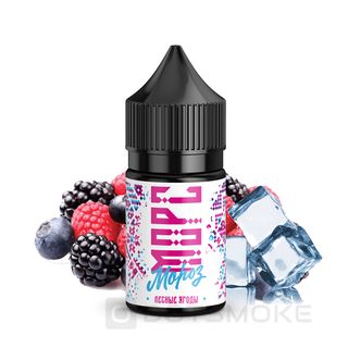 Купить Pride Морс Мороз Salt 30 мл - Лесные Ягоды (Strong)