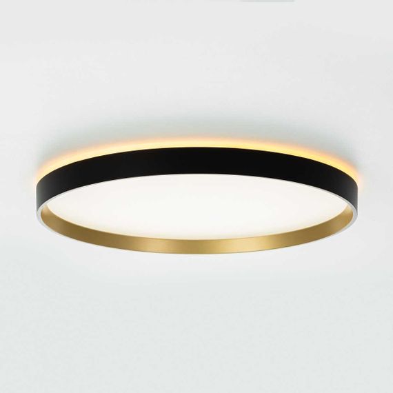 Потолочный светильник Citilux ETALON CL750401R