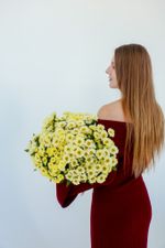 Охапка сантини