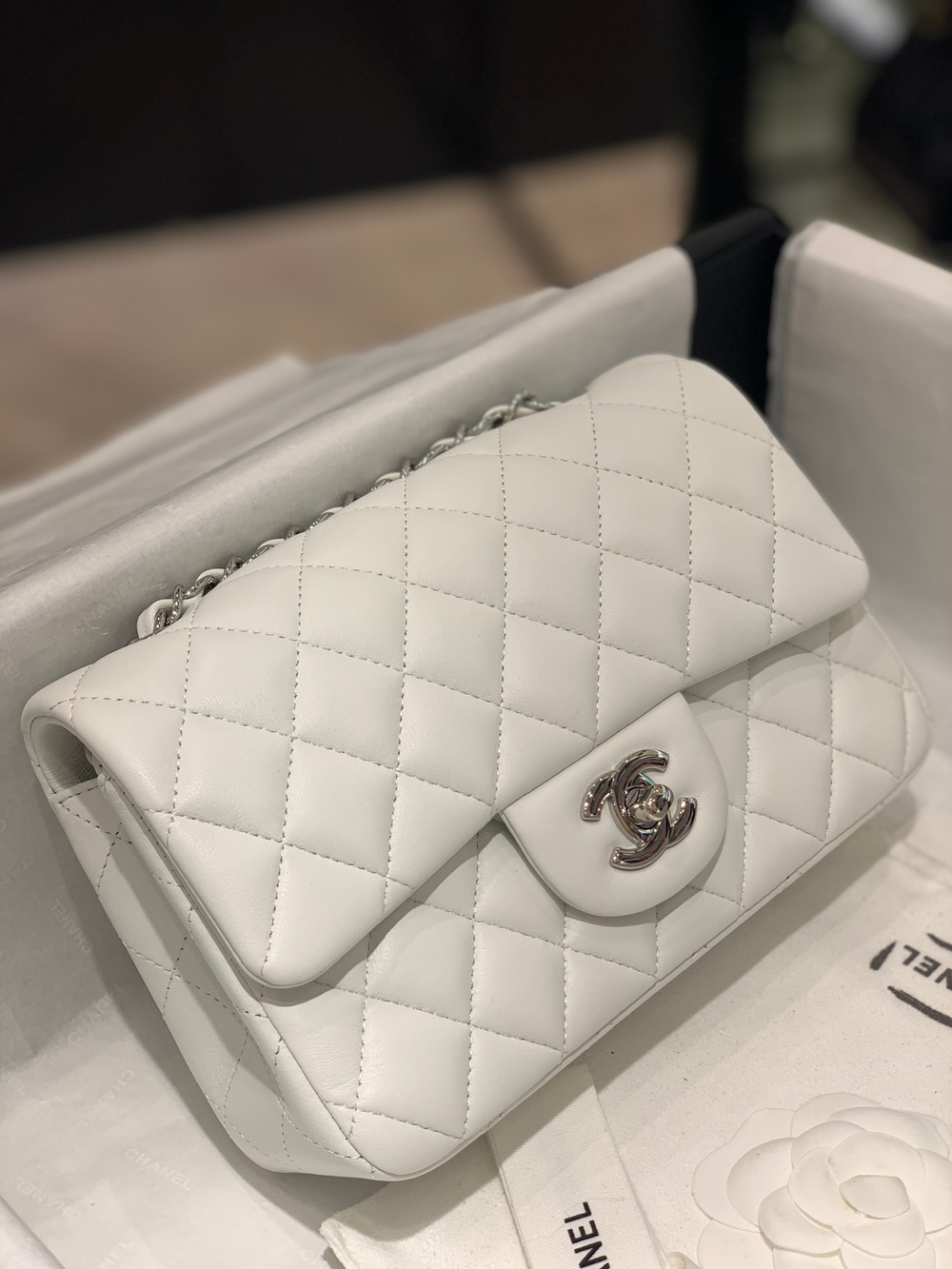 Chane1 Bag 20 cm
