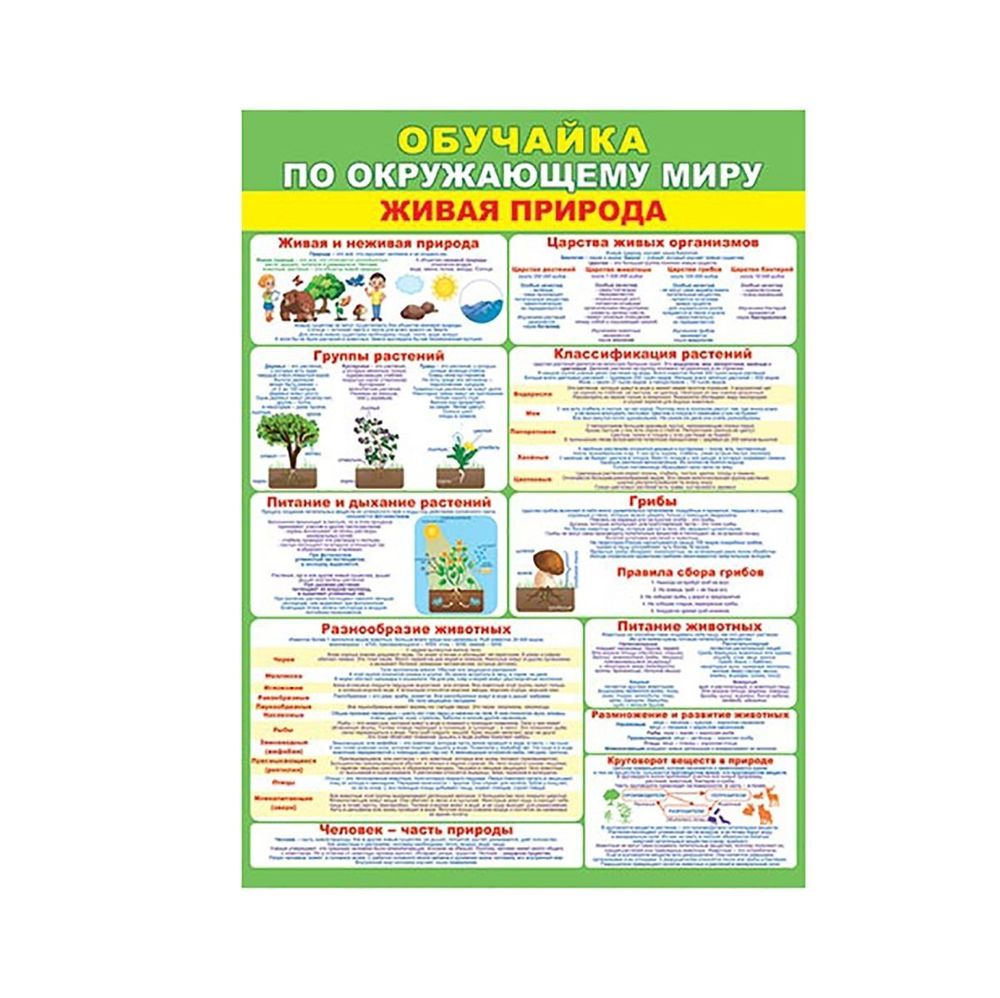 Плакат обучающий, 505 мм * 697 мм, "Обучайка по окружающему миру", Мир Открыток, картон