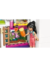 Конструктор Friends 42687 Дом семьи Лианн