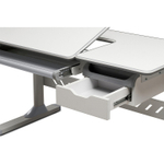 Растущая парта Fundesk Fiore (1200×600 мм)