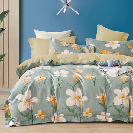 Постельное белье Valtery CS-085 сатин