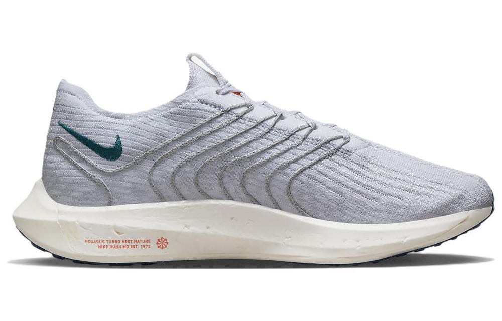 Кроссовки Nike Pegasus Turbo Next Nature