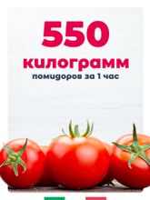 Соковыжималки для томатов EASYSQUEZY