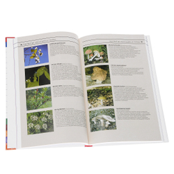 Скорая помощь. Домашний справочник неотложных состояний