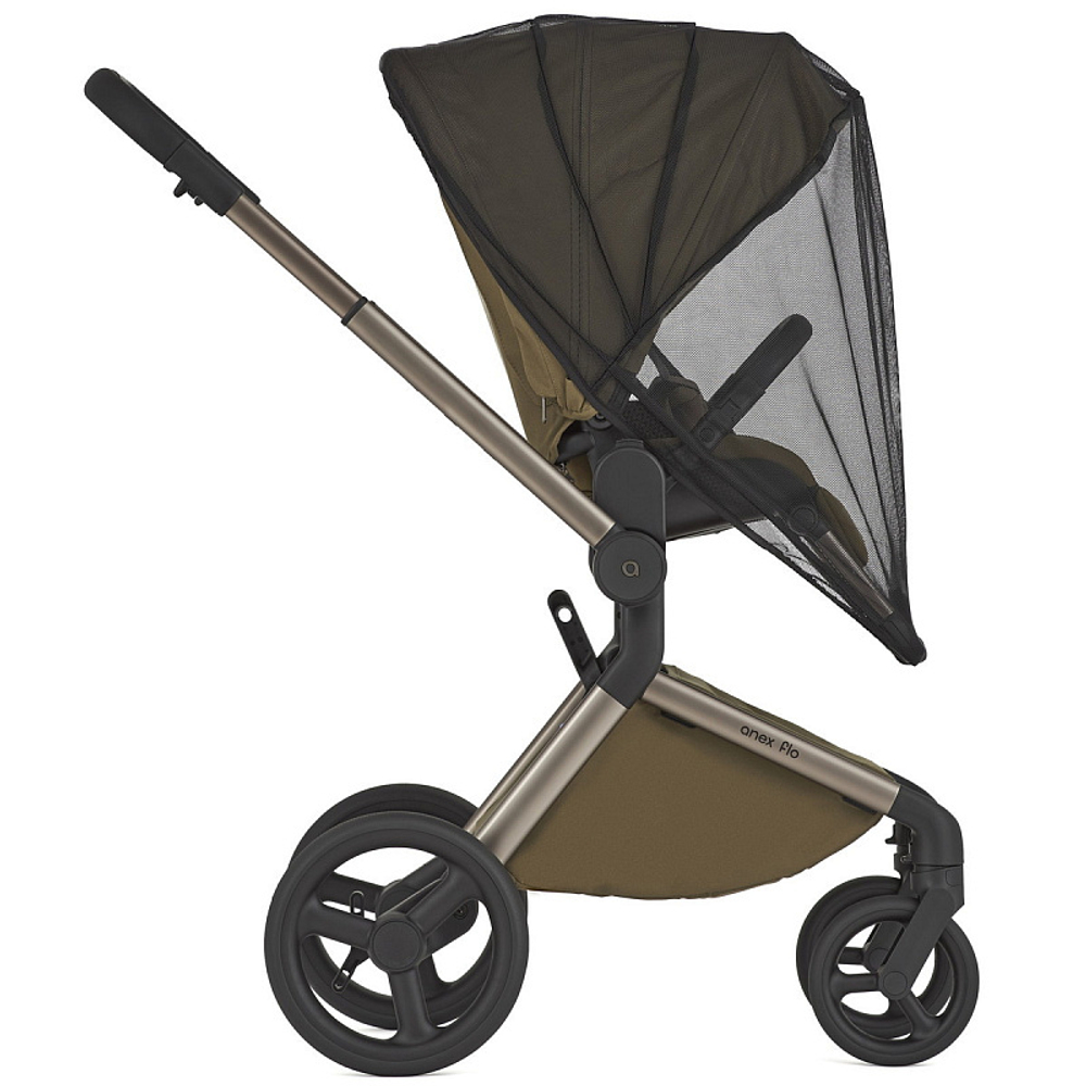 Детская коляска Anex Flo 2 в 1 Astra