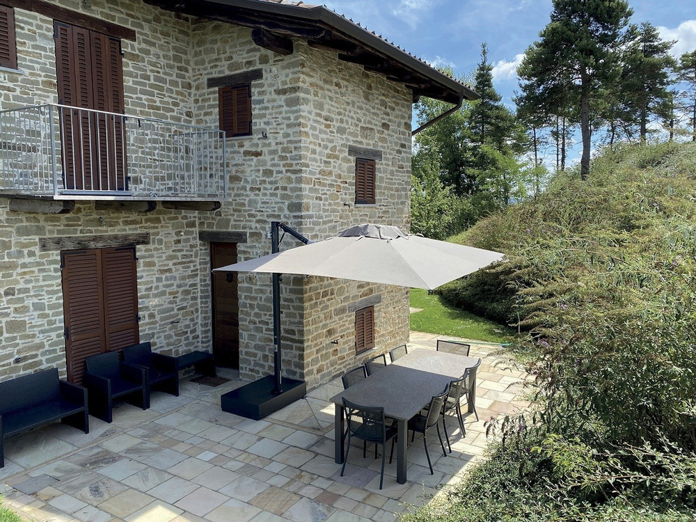 Зонт профессиональный Astro Carbon, графит, слоновая кость