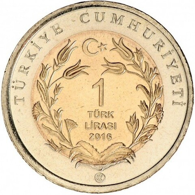 Четырёхпалый тушканчик