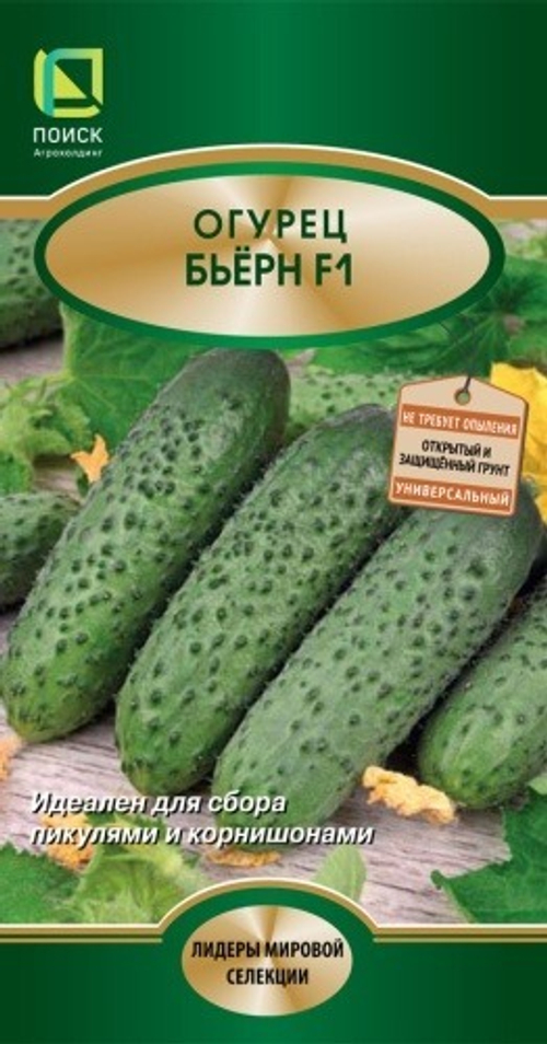 Огурец Бьерн F1 5шт Голландия Н19