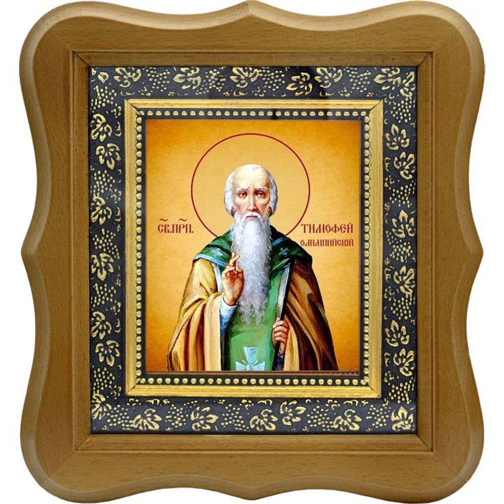 Тимофей Олимпийский (в Символех) преподобный пустынник. Икона на холсте.