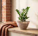 Кашпо МИКРИТ овальное 1,4 л 21*13,5*11 см М3108