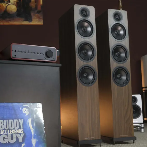 Acoustic Energy AE120-2 Walnut