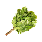 Веник дубовый в индивидуальной упаковке