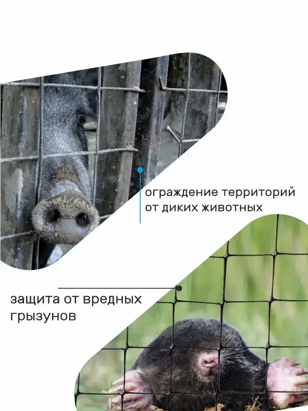 Сетка сварная оцинкованная для забора 1 м х 10 м, проволока 0,6 мм, ячейка 20 х 20 мм