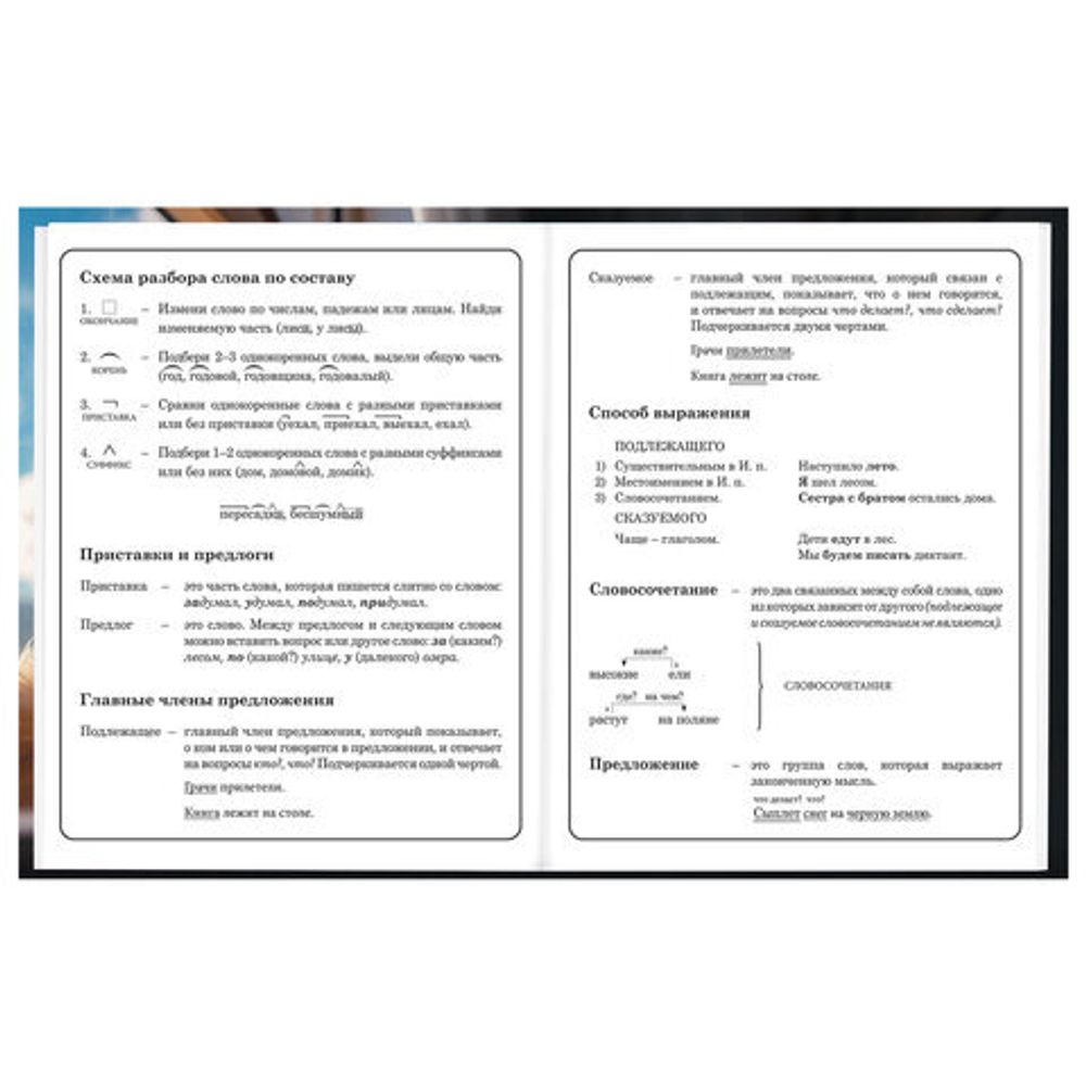 Дневник 1-4 класс 48 л., твердый, BRAUBERG, глянцевая ламинация, с подсказом, "Котик", 107156