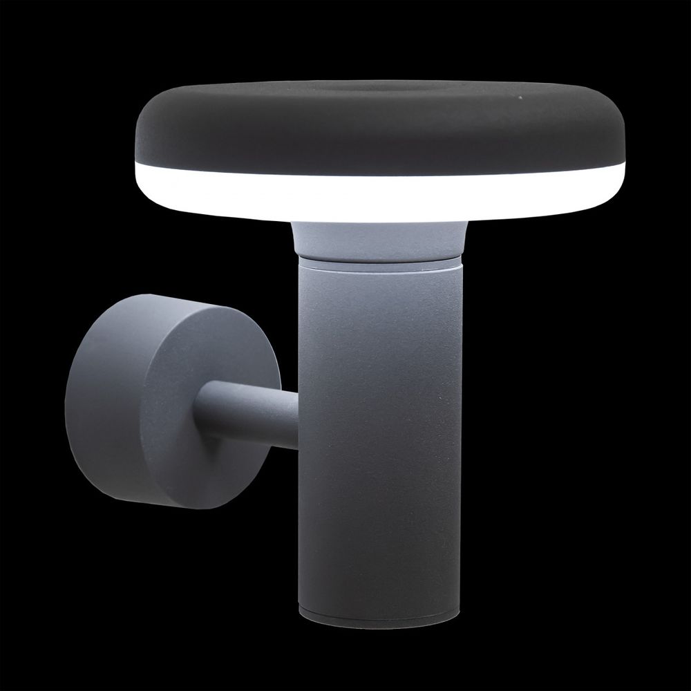 Citilux GARDA CLU01W LED Уличный настенный светильник Графит