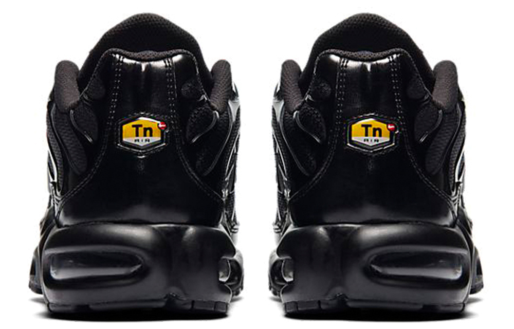 Кроссовки Nike Air Max Plus