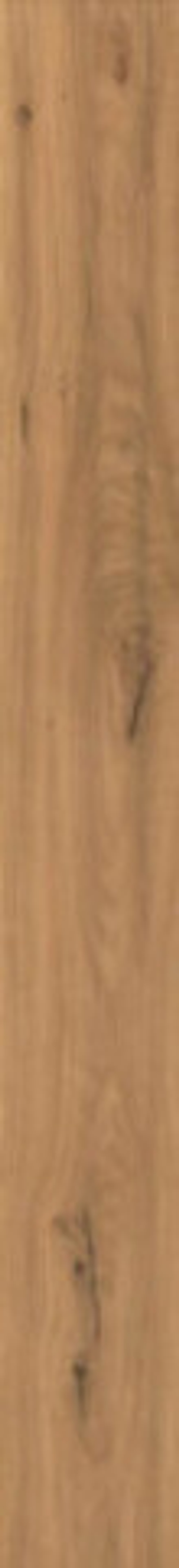 Керамогранит Log Amber Oak Forest (AX5Y)