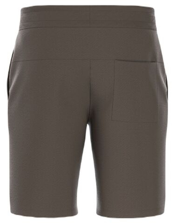 Мужские теннисные шорты Bjorn Borg Essential Shorts - канифоль