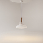 Подвесной светильник Maytoni MOD405PL-01W