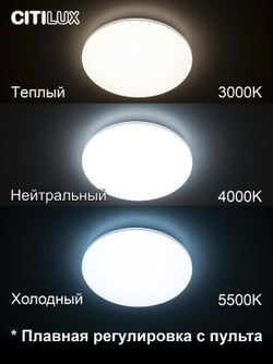 Накладной светильник Citilux CL714480G