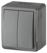 Выключатель 2-клавишный IP54, 10АХ-250В, серый Эксперт ЭРА
