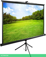 Проекционный экран Cactus TriExpert (CS-PSTE-200X150-BK)